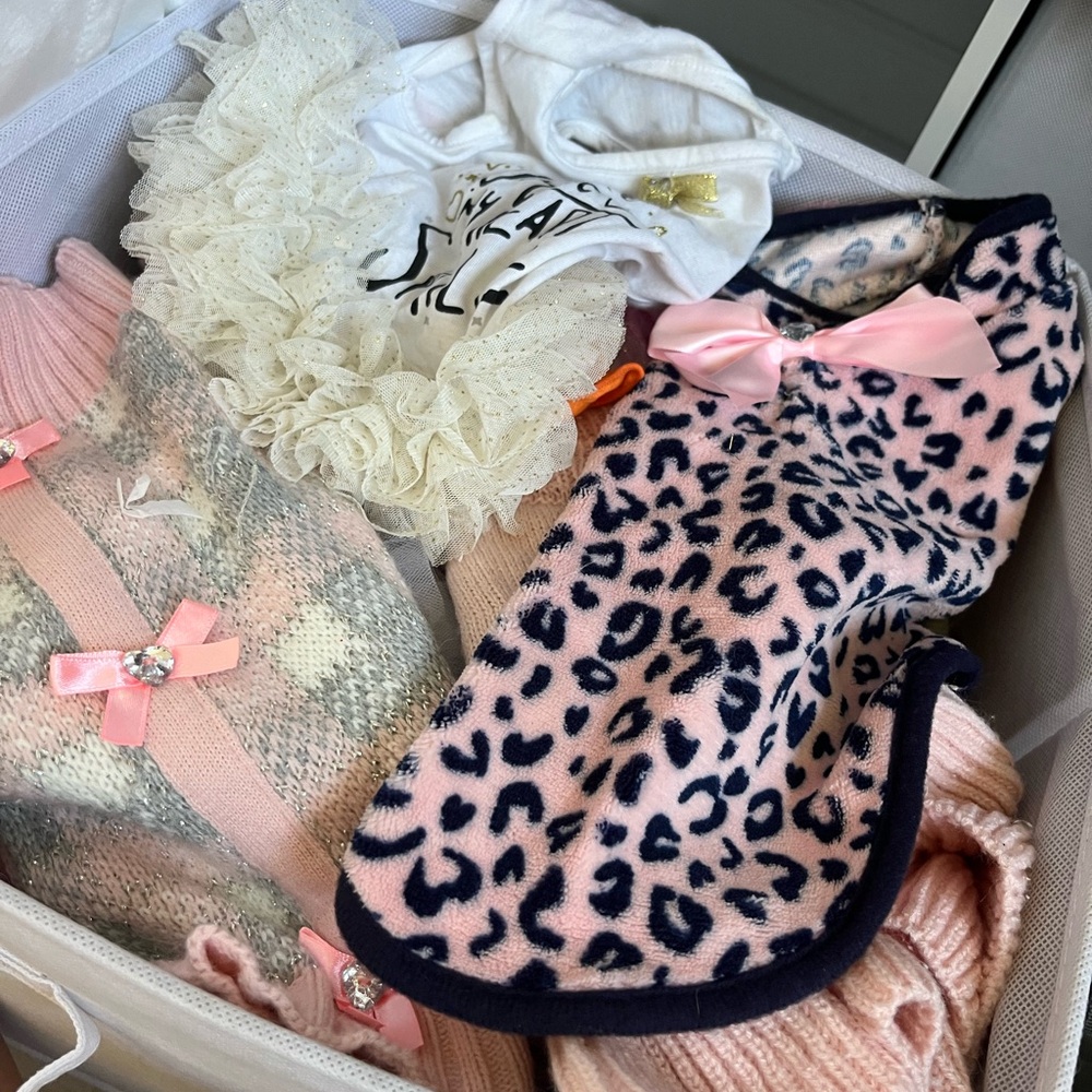Box full of pets clothes